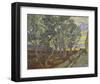 The Garden of Saint Paul’s Hospital, 1889-Vincent van Gogh-Framed Giclee Print