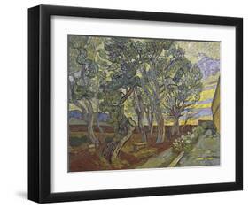 The Garden of Saint Paul’s Hospital, 1889-Vincent van Gogh-Framed Giclee Print