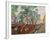 The Garden of St. Paul's Hospital at St. Remy, 1889-Vincent van Gogh-Framed Giclee Print