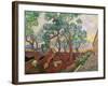 The Garden of St. Paul's Hospital at St. Remy, 1889-Vincent van Gogh-Framed Giclee Print