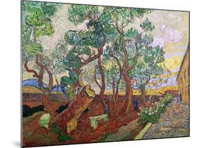 The Garden of St. Paul's Hospital at St. Remy, 1889-Vincent van Gogh-Mounted Giclee Print