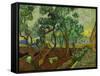 The Garden of St. Paul's Hospital at St. Remy, c.1889-Vincent van Gogh-Framed Stretched Canvas