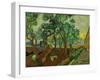 The Garden of St. Paul's Hospital at St. Remy, c.1889-Vincent van Gogh-Framed Giclee Print