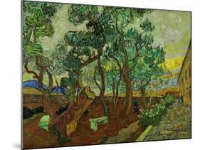 The Garden of St. Paul's Hospital at St. Remy, c.1889-Vincent van Gogh-Mounted Giclee Print