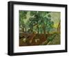 The Garden of St. Paul's Hospital at St. Remy, c.1889-Vincent van Gogh-Framed Giclee Print
