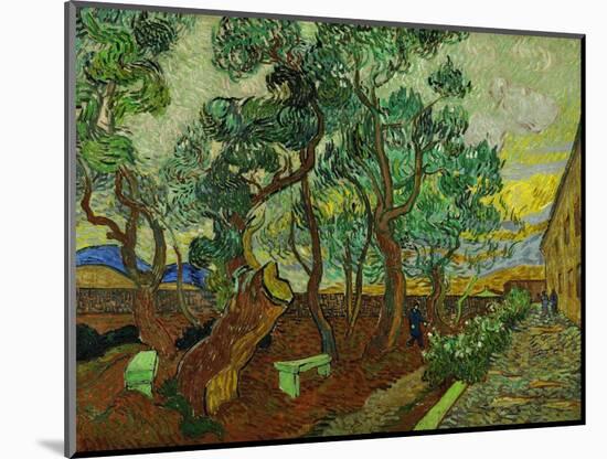 The Garden of St. Paul's Hospital at St. Remy, c.1889-Vincent van Gogh-Mounted Giclee Print