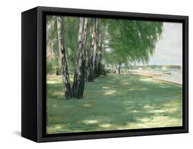 The Garden of the Artist in Wannsee, 1918-Max Liebermann-Framed Stretched Canvas