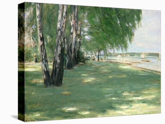 The Garden of the Artist in Wannsee, 1918-Max Liebermann-Stretched Canvas