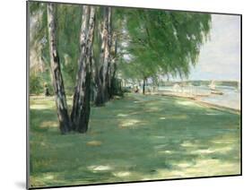 The Garden of the Artist in Wannsee, 1918-Max Liebermann-Mounted Giclee Print