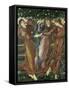 The Garden of the Hesperides, 1873-Edward Burne-Jones-Framed Stretched Canvas