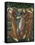 The Garden of the Hesperides, 1873-Edward Burne-Jones-Framed Stretched Canvas