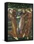 The Garden of the Hesperides, 1873-Edward Burne-Jones-Framed Stretched Canvas