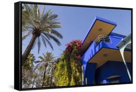 The Garden of the Villa Majorelle, Marrakech, Morocco, North Africa, Africa-Martin Child-Framed Stretched Canvas