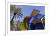 The Garden of the Villa Majorelle, Marrakech, Morocco, North Africa, Africa-Martin Child-Framed Photographic Print