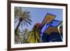 The Garden of the Villa Majorelle, Marrakech, Morocco, North Africa, Africa-Martin Child-Framed Photographic Print