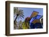 The Garden of the Villa Majorelle, Marrakech, Morocco, North Africa, Africa-Martin Child-Framed Photographic Print