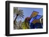 The Garden of the Villa Majorelle, Marrakech, Morocco, North Africa, Africa-Martin Child-Framed Photographic Print