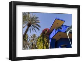 The Garden of the Villa Majorelle, Marrakech, Morocco, North Africa, Africa-Martin Child-Framed Photographic Print