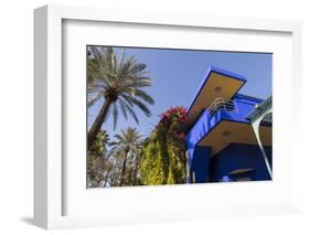 The Garden of the Villa Majorelle, Marrakech, Morocco, North Africa, Africa-Martin Child-Framed Photographic Print