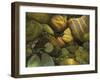 The Garden Pond-Stephen Stavast-Framed Giclee Print