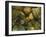 The Garden Pond-Stephen Stavast-Framed Giclee Print