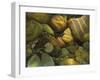 The Garden Pond-Stephen Stavast-Framed Giclee Print