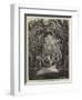 The Garden, Shepheard's Hotel, Cairo-William Henry James Boot-Framed Giclee Print