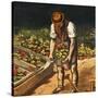 The Gardener, 1867-null-Stretched Canvas