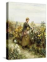 The Gardener's Daughter-Daniel Ridgway Knight-Stretched Canvas