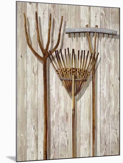 The Gardener's Tools-Mark Chandon-Mounted Giclee Print