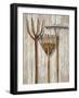 The Gardener's Tools-Mark Chandon-Framed Giclee Print