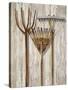 The Gardener's Tools-Mark Chandon-Stretched Canvas