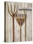 The Gardener's Tools-Mark Chandon-Stretched Canvas