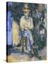 The Gardener Vallier-Paul Cézanne-Stretched Canvas