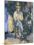 The Gardener Vallier-Paul Cézanne-Mounted Giclee Print