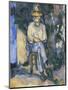 The Gardener Vallier-Paul Cézanne-Mounted Premium Giclee Print