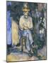 The Gardener Vallier-Paul Cézanne-Mounted Giclee Print