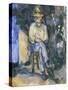 The Gardener Vallier-Paul Cézanne-Stretched Canvas