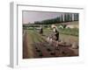 The Gardeners-Gustave Caillebotte-Framed Giclee Print