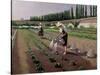 The Gardeners-Gustave Caillebotte-Stretched Canvas