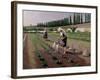 The Gardeners-Gustave Caillebotte-Framed Giclee Print