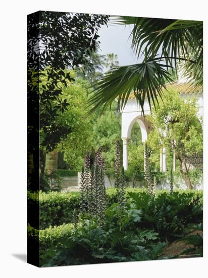 The Gardens from the Palace Wall, the Alcazar, Seville (Sevilla), Andalucia (Andalusia), Spain-Jean Brooks-Stretched Canvas