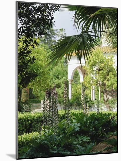 The Gardens from the Palace Wall, the Alcazar, Seville (Sevilla), Andalucia (Andalusia), Spain-Jean Brooks-Mounted Photographic Print