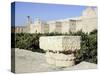 The gardens of Marrakesh by the long city walls-Werner Forman-Stretched Canvas