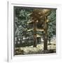 The Gardens of the Temple, Nikko (Japan), 1900-1905-Leon, Levy et Fils-Framed Premium Photographic Print