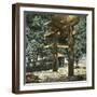 The Gardens of the Temple, Nikko (Japan), 1900-1905-Leon, Levy et Fils-Framed Photographic Print