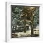 The Gardens of the Temple, Nikko (Japan), 1900-1905-Leon, Levy et Fils-Framed Photographic Print