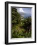 The Gardens of the Villa Cimbrone in Ravello, Amalfi Coast, Campania, Italy, Europe-Olivier Goujon-Framed Premium Photographic Print