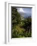 The Gardens of the Villa Cimbrone in Ravello, Amalfi Coast, Campania, Italy, Europe-Olivier Goujon-Framed Premium Photographic Print