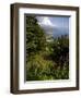 The Gardens of the Villa Cimbrone in Ravello, Amalfi Coast, Campania, Italy, Europe-Olivier Goujon-Framed Photographic Print